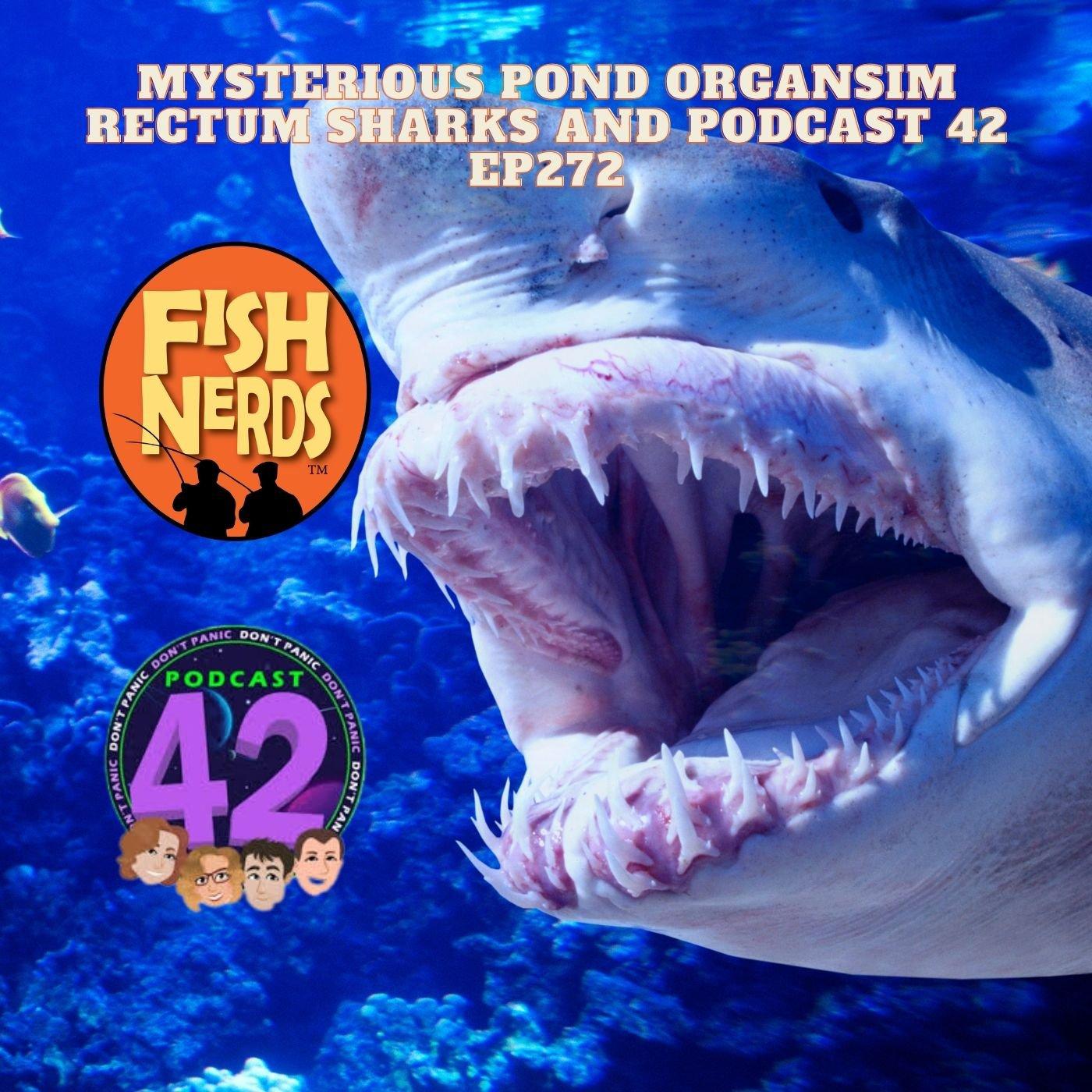 Fish Nerds Fishing Podcast