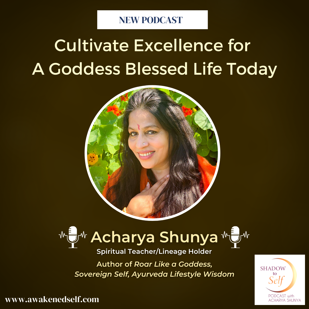 Shadow to Self with Acharya Shunya
