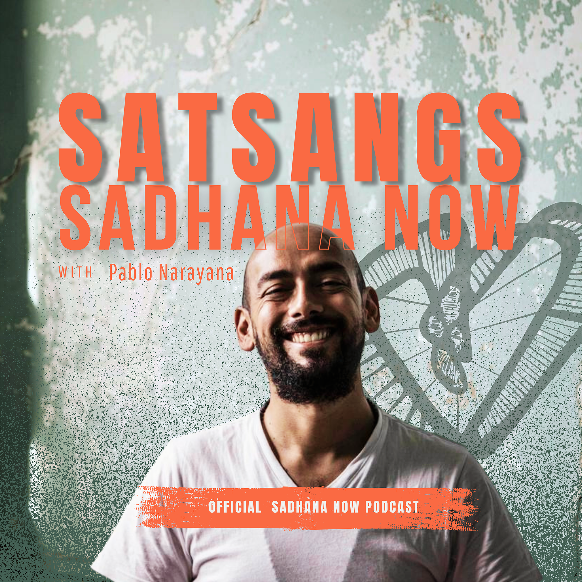 Satsangs with SadhanaNow