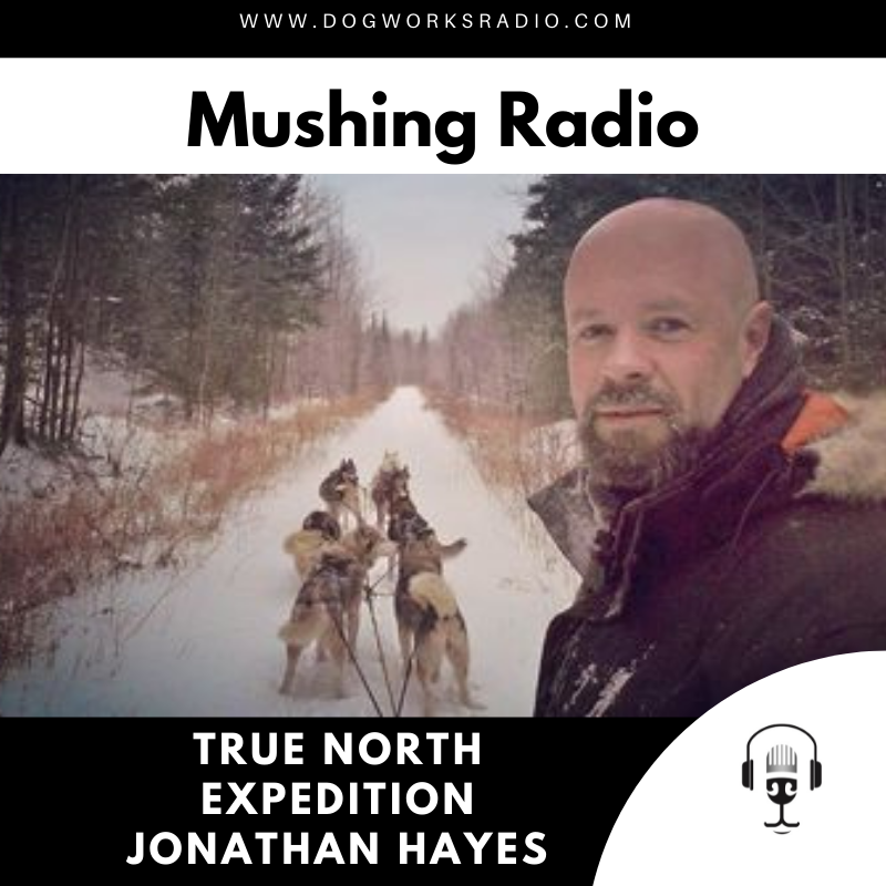 Dog Works Radio