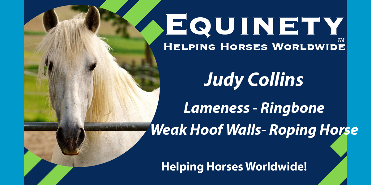 Team Equinety Podcast