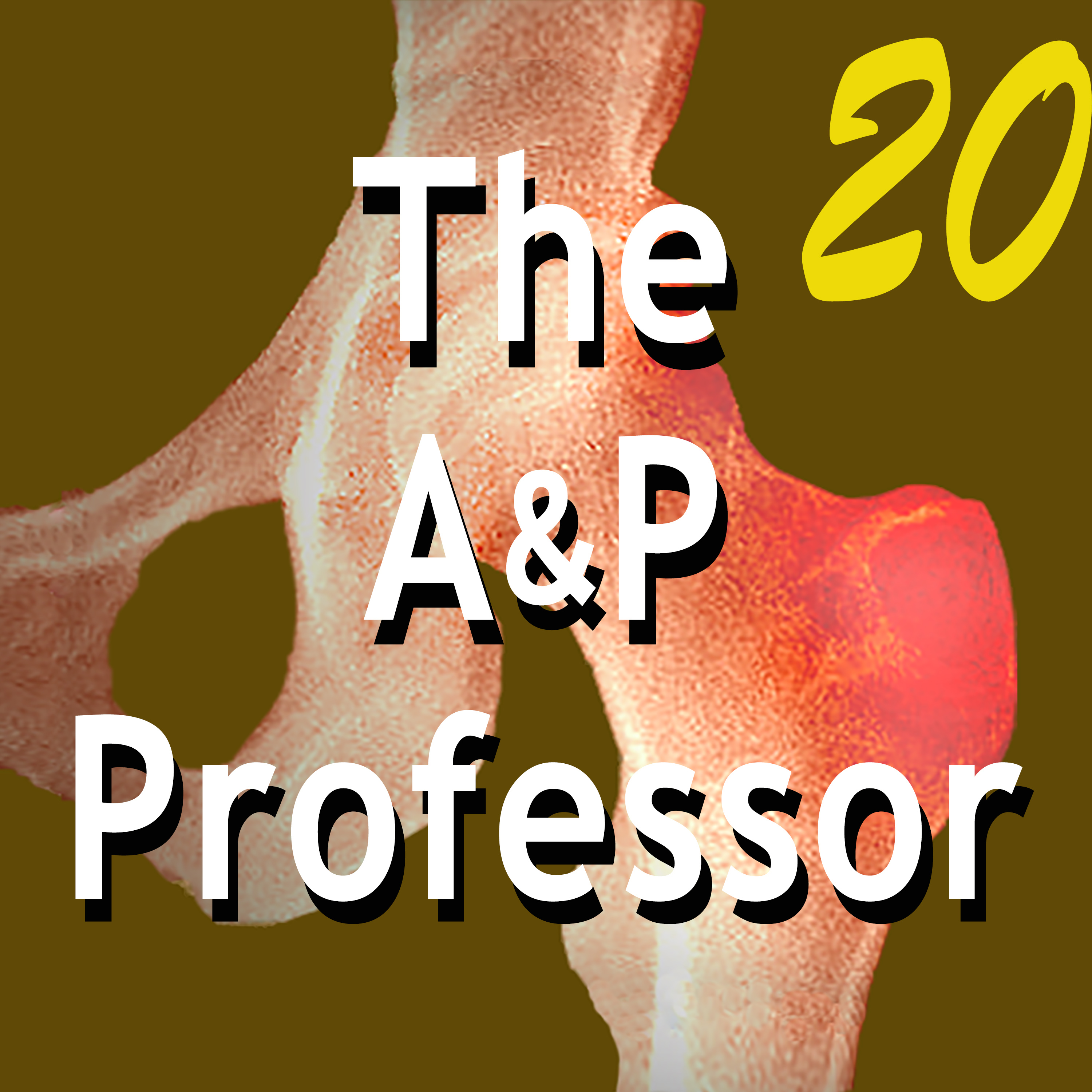Reading A&P Terms Out Loud Helps Reading Comprehension | TAPP Episode 20