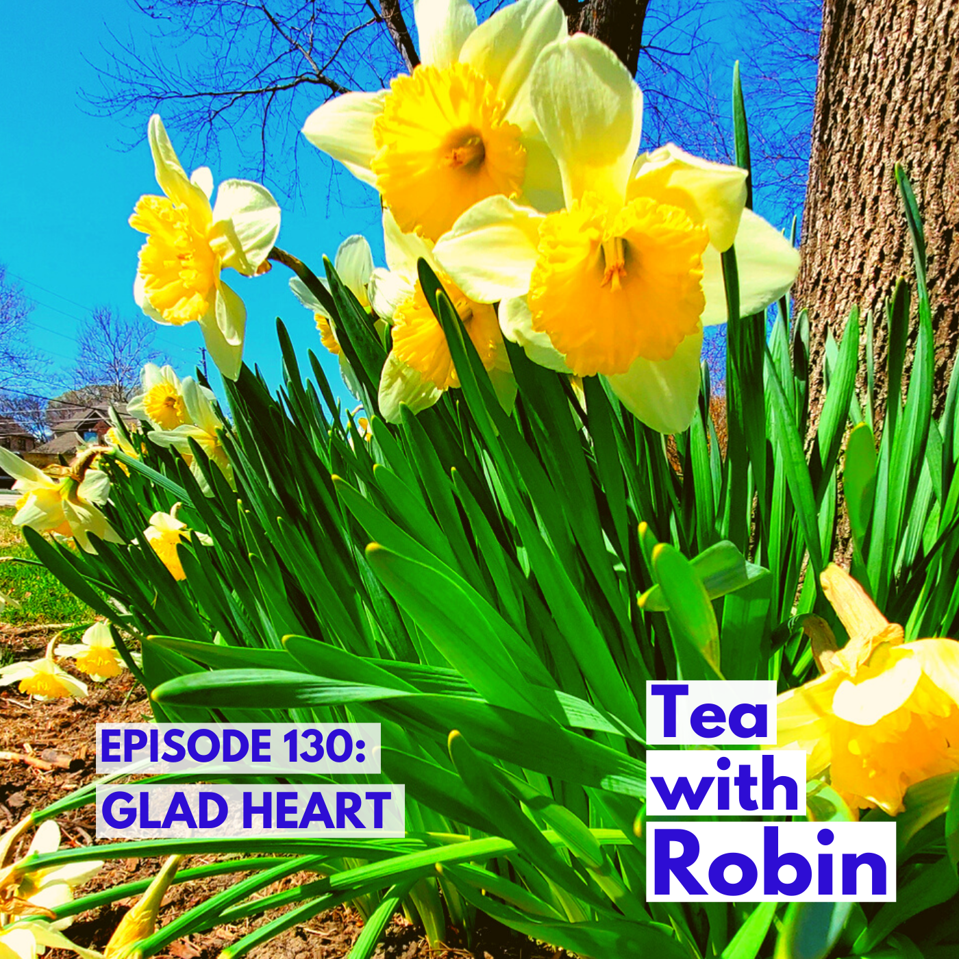 Tea with Robin
