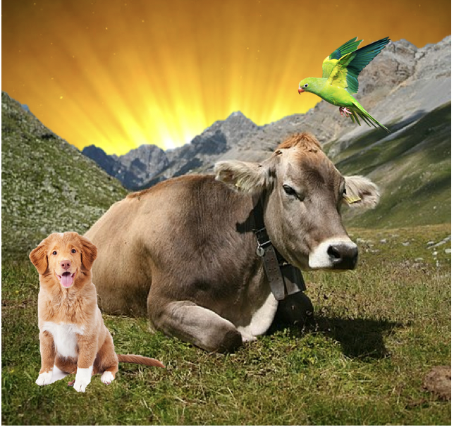 Dogmas, Sacred Cows and the Twitter Bird