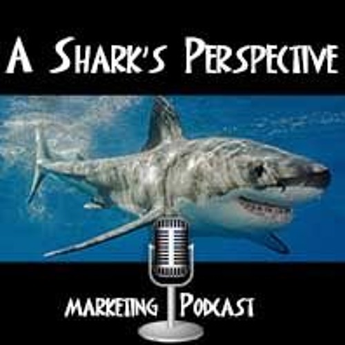 A Shark\'s Perspective