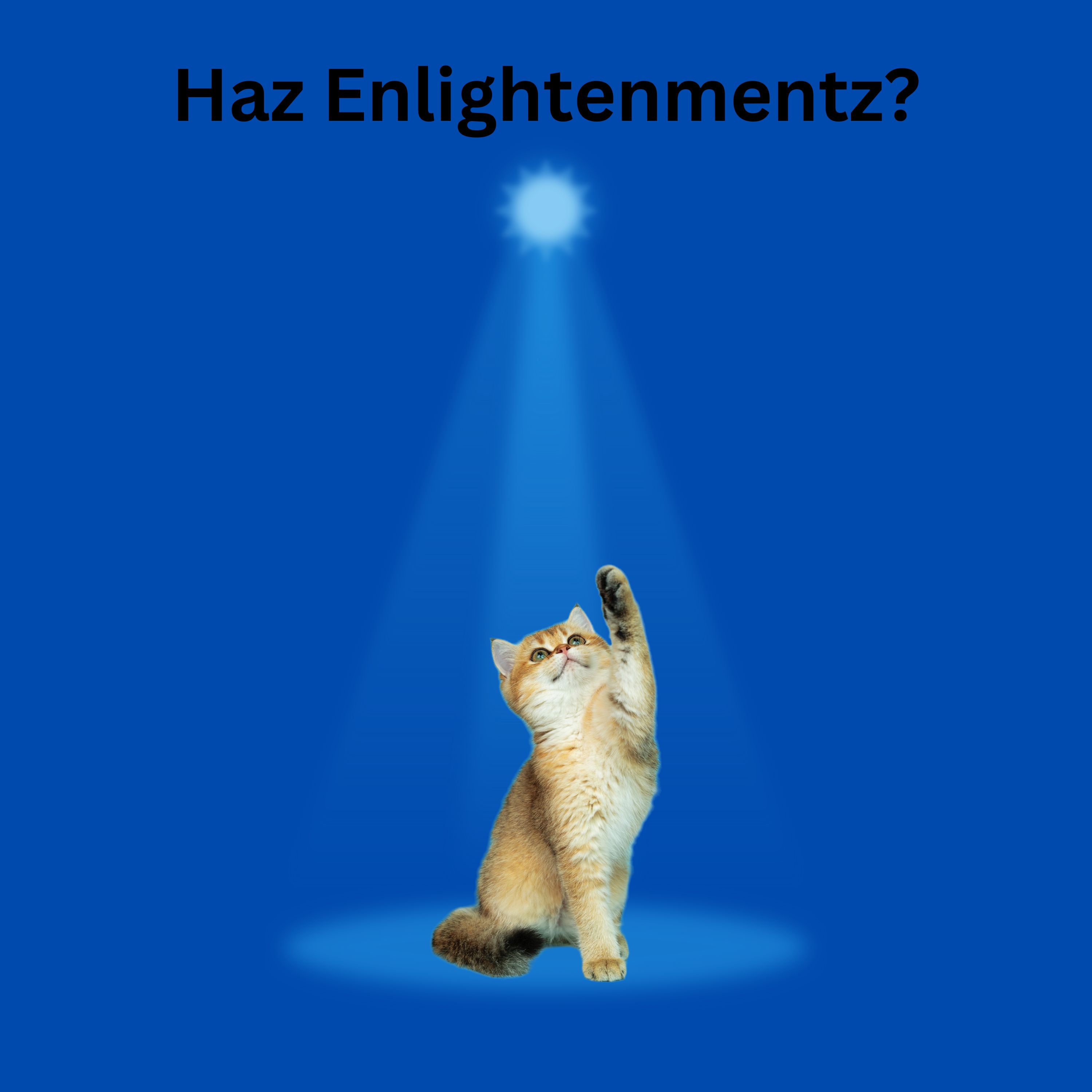 Zen Talking