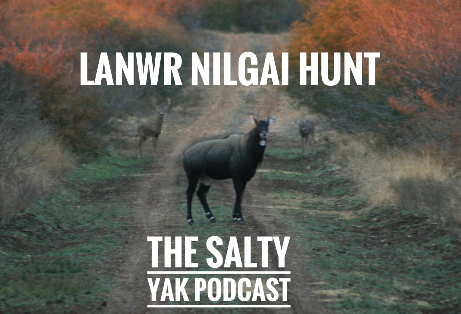 The Salty Yak Outdoor Podcast