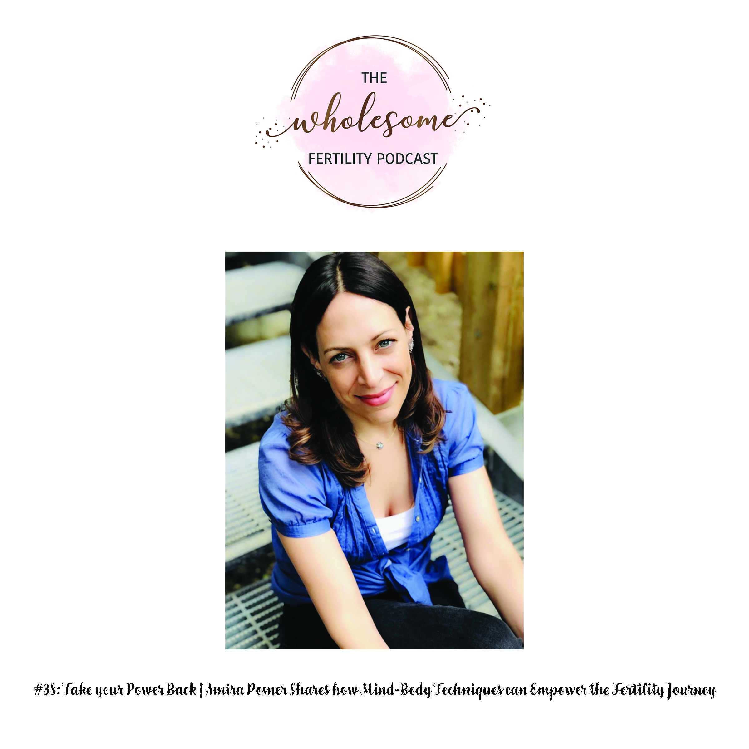 Wholesome Fertility Podcast