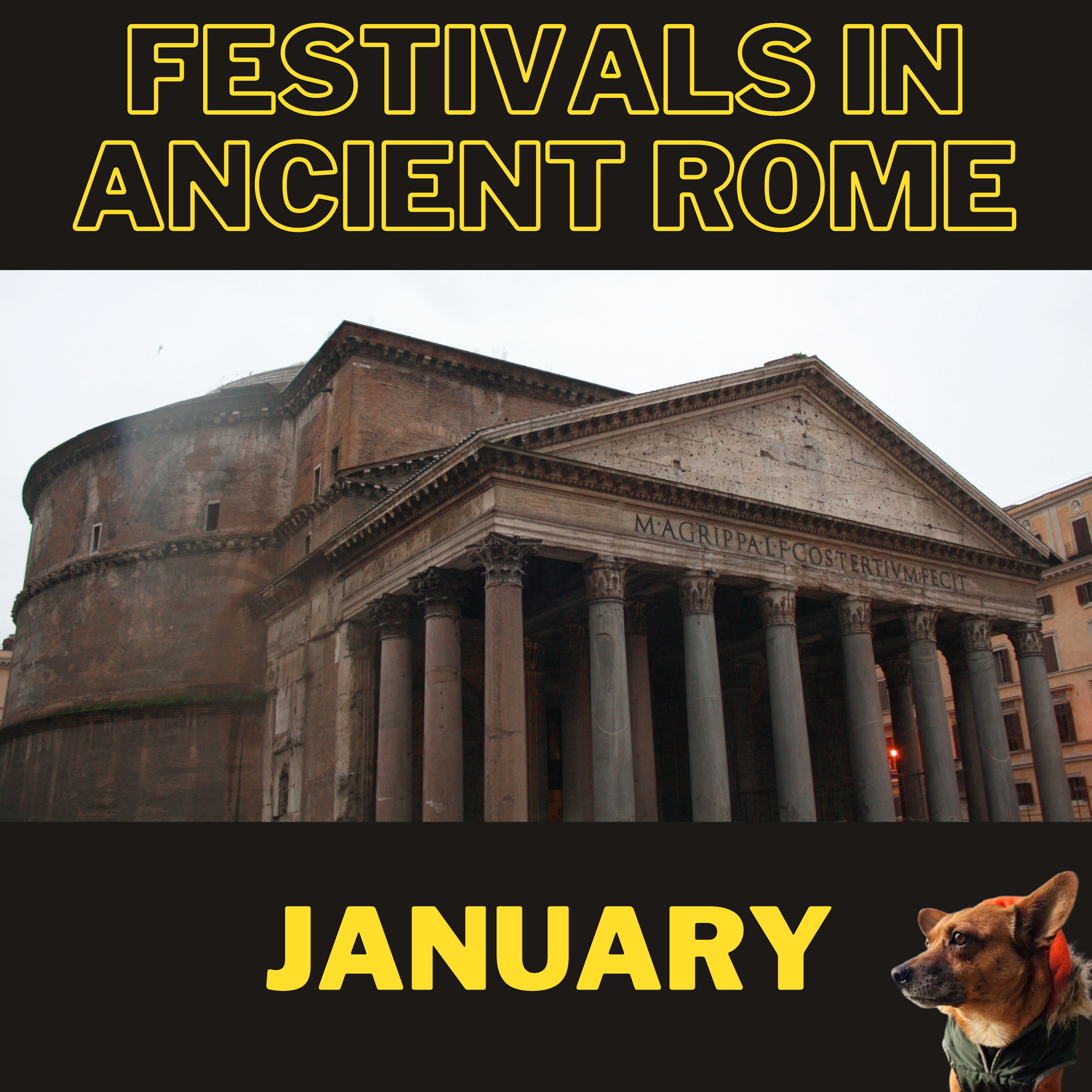 Ancient History Hound