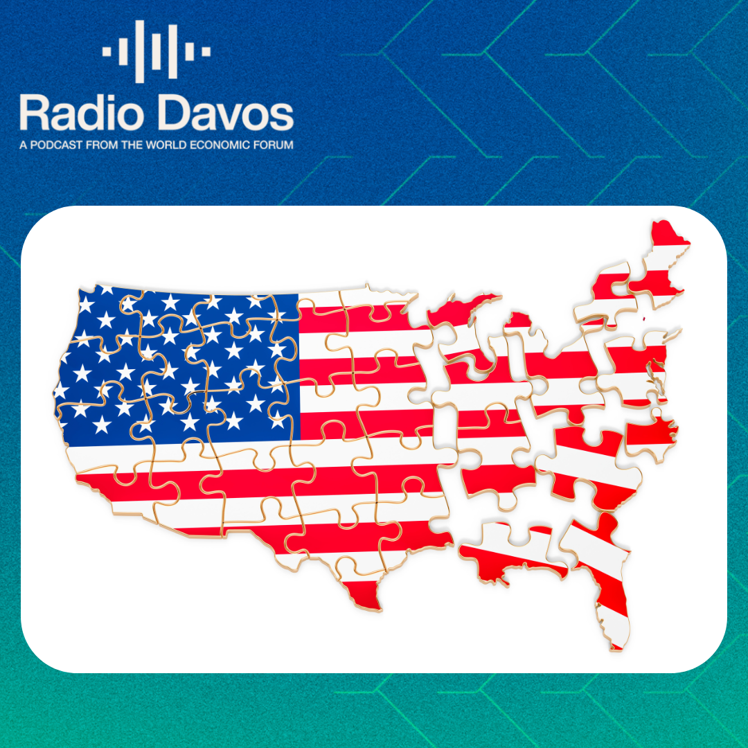 Three experts on how to understand the USA