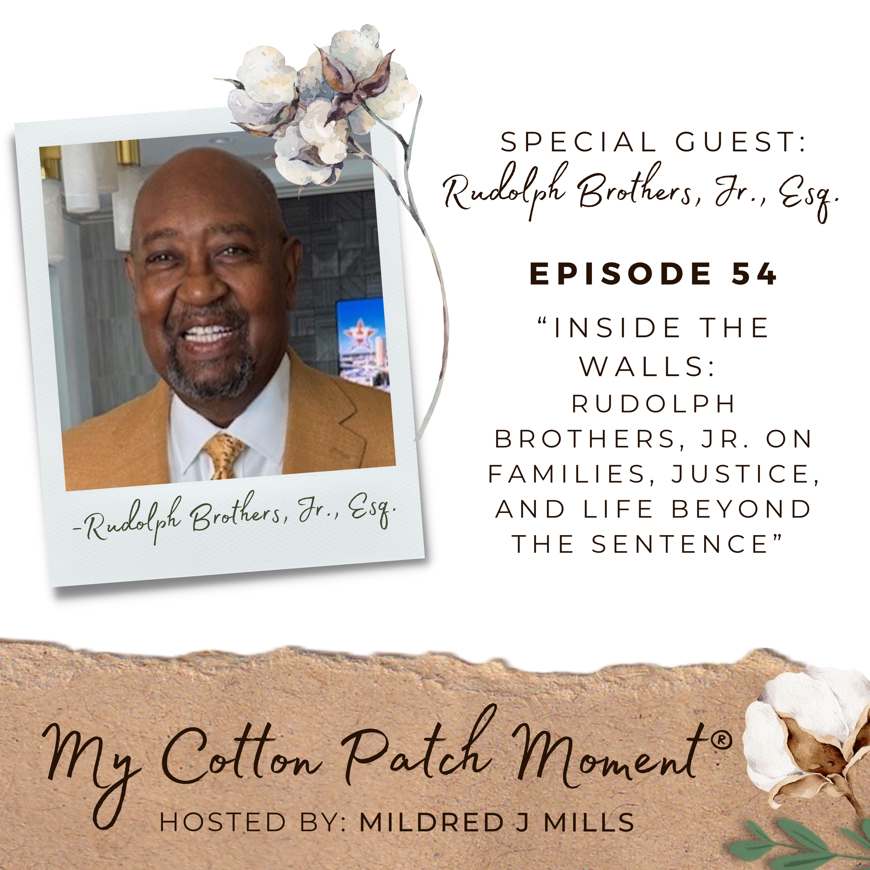 My Cotton Patch Moment