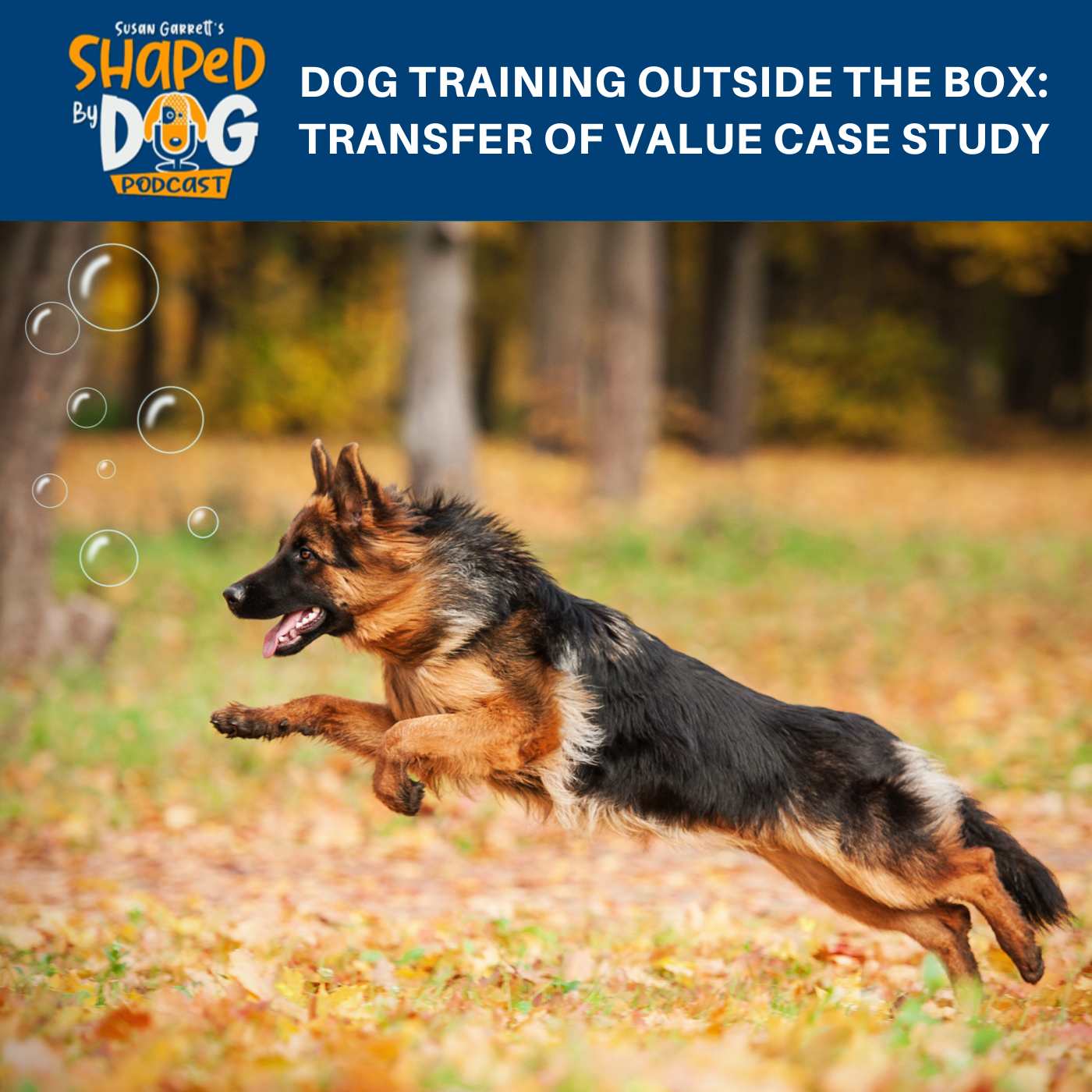 Shaped by Dog with Susan Garrett