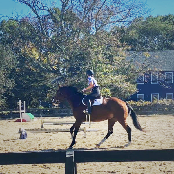 Stall and Stable: Ideas for Happy Horsekeeping