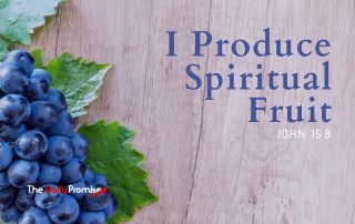 I Produce Spiritual Fruit