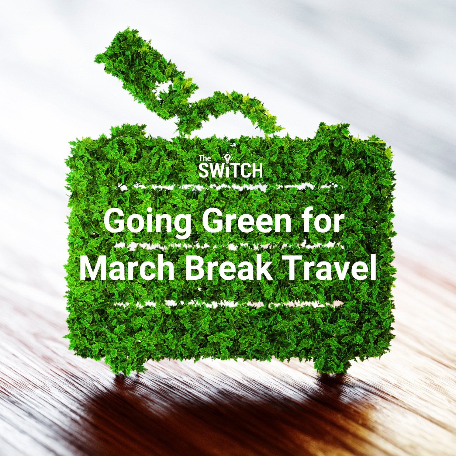 The Switch: Going Green for March Break Travel