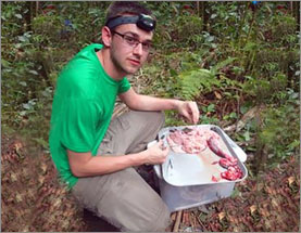 On the Study of Parasitic Diversity and Life Cycles—Stephen Greiman, PhD—Department of Biology at Georgia Southern University