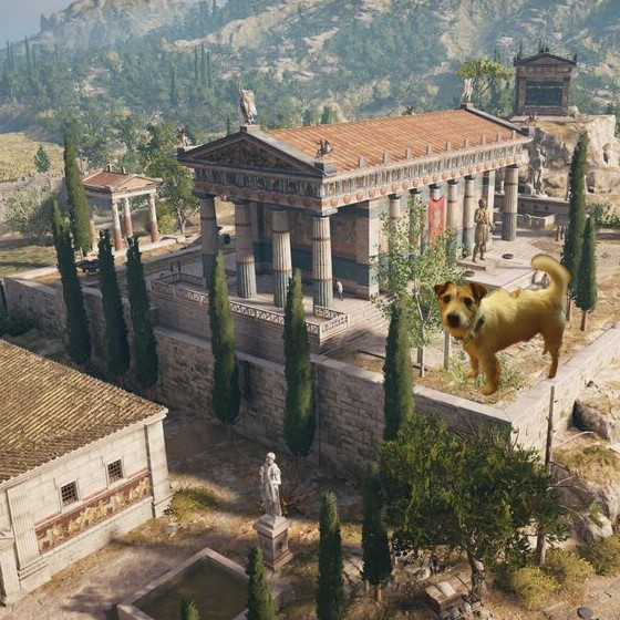 Ancient History Hound