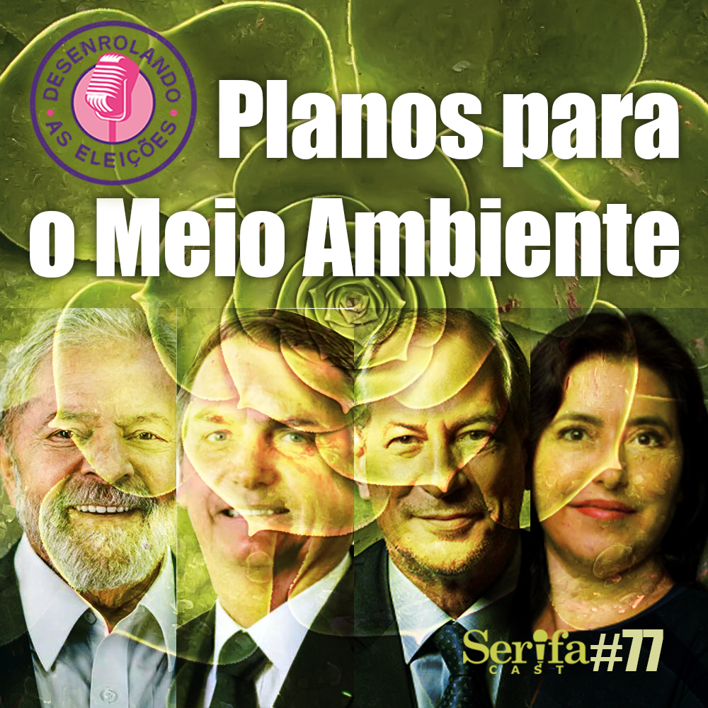 Quais os planos para o Meio Ambiente dos candidatos à Presidência da República do Brasil - Desenrolando as Eleições