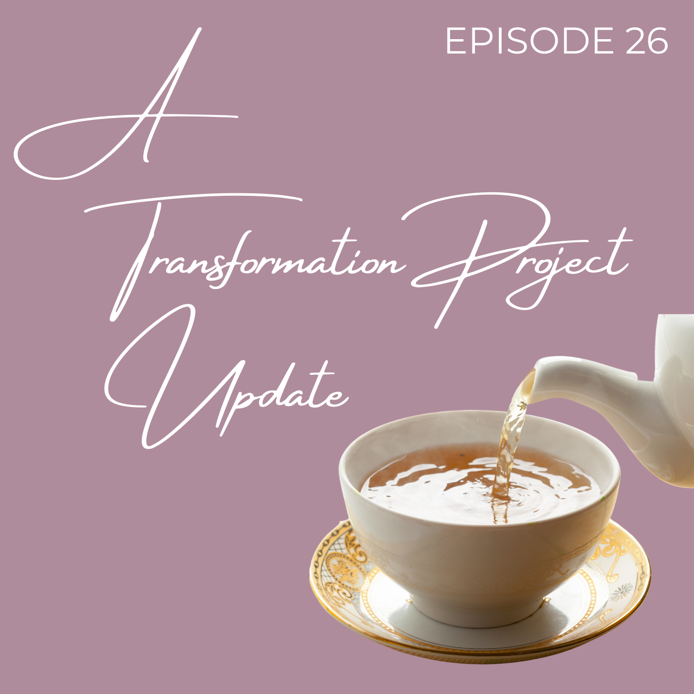 The Transformation Project
