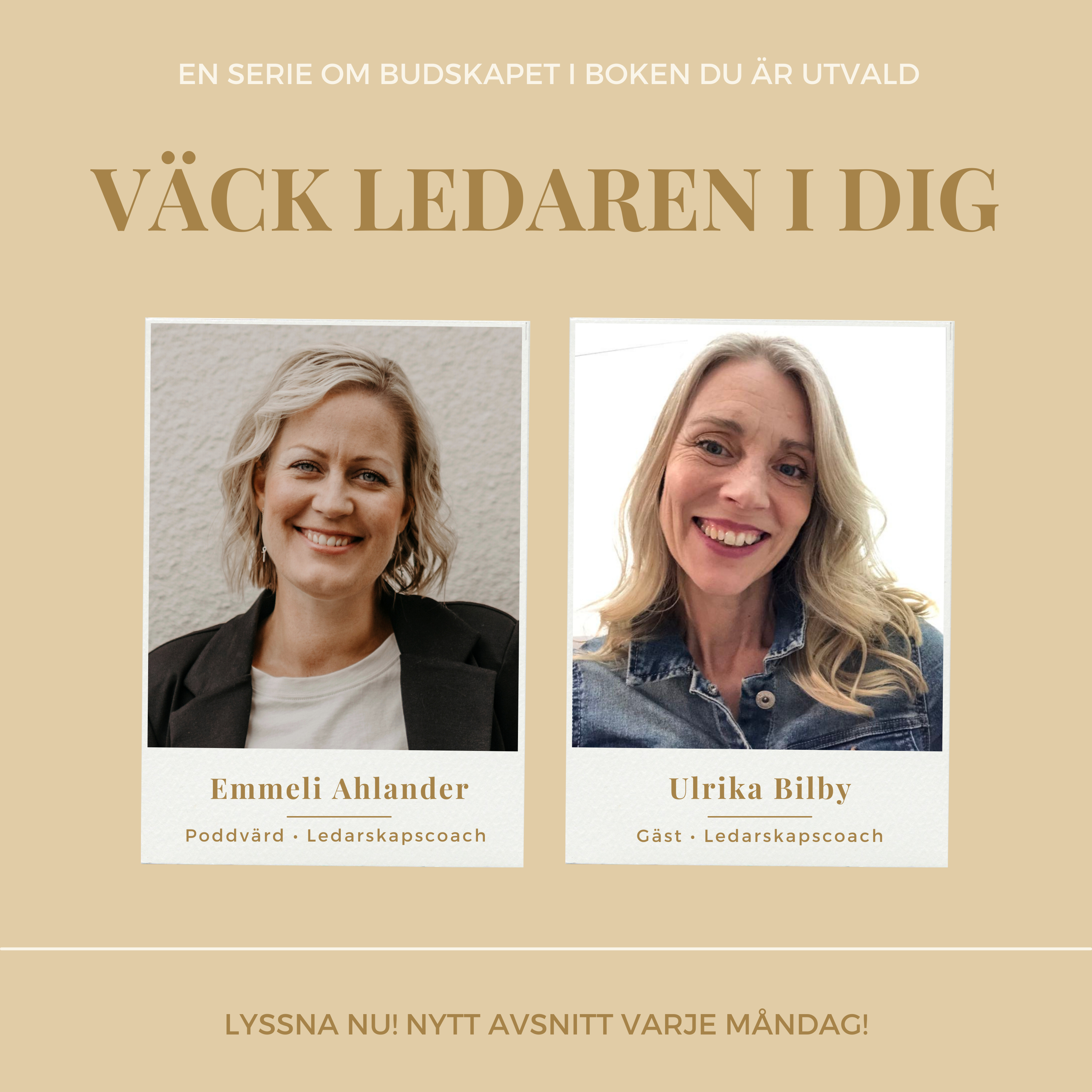 MOMENTUM – vision till verklighet, ledarskap och frihetsföretagande