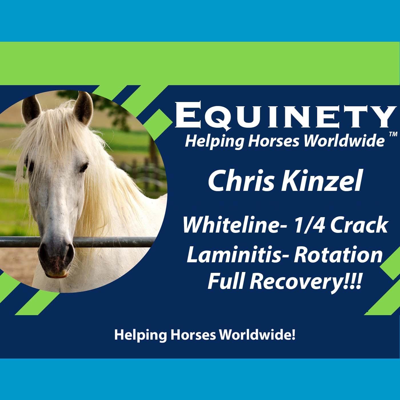 133 -Chris Kinzel – Lameness – White Line – ¼ Crack – Laminitis – 3 to 4% rotation