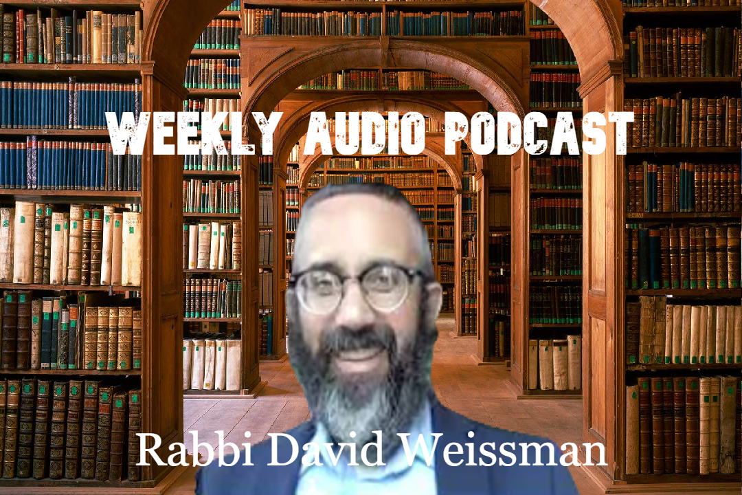 How to Group Noahide Laws Into an Order - Rabbi David Weissman