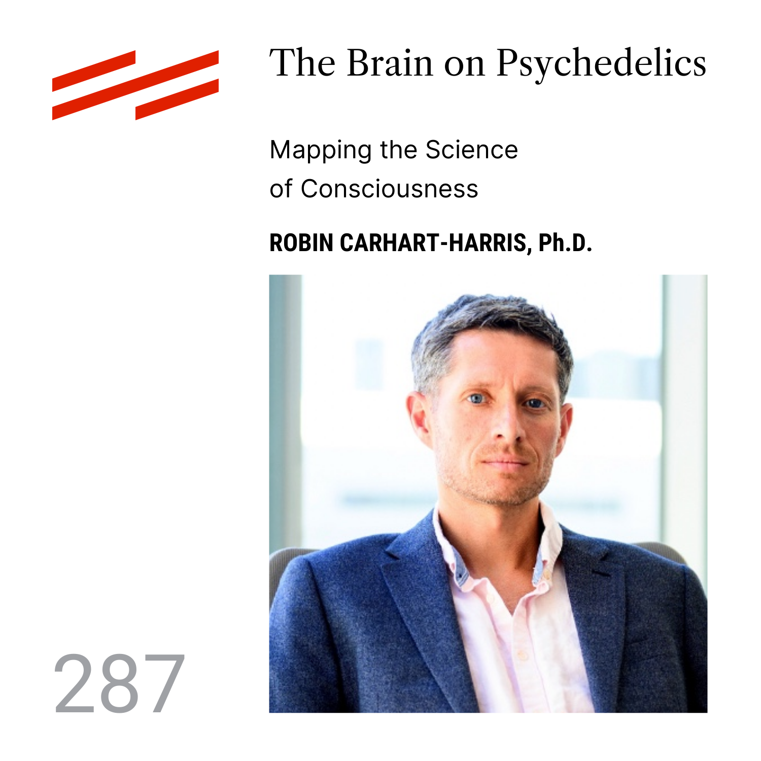 The Psychedelic Podcast
