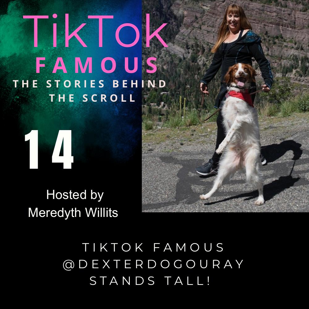 TIKTok FAMOUS™: The Stories Behind the Scroll