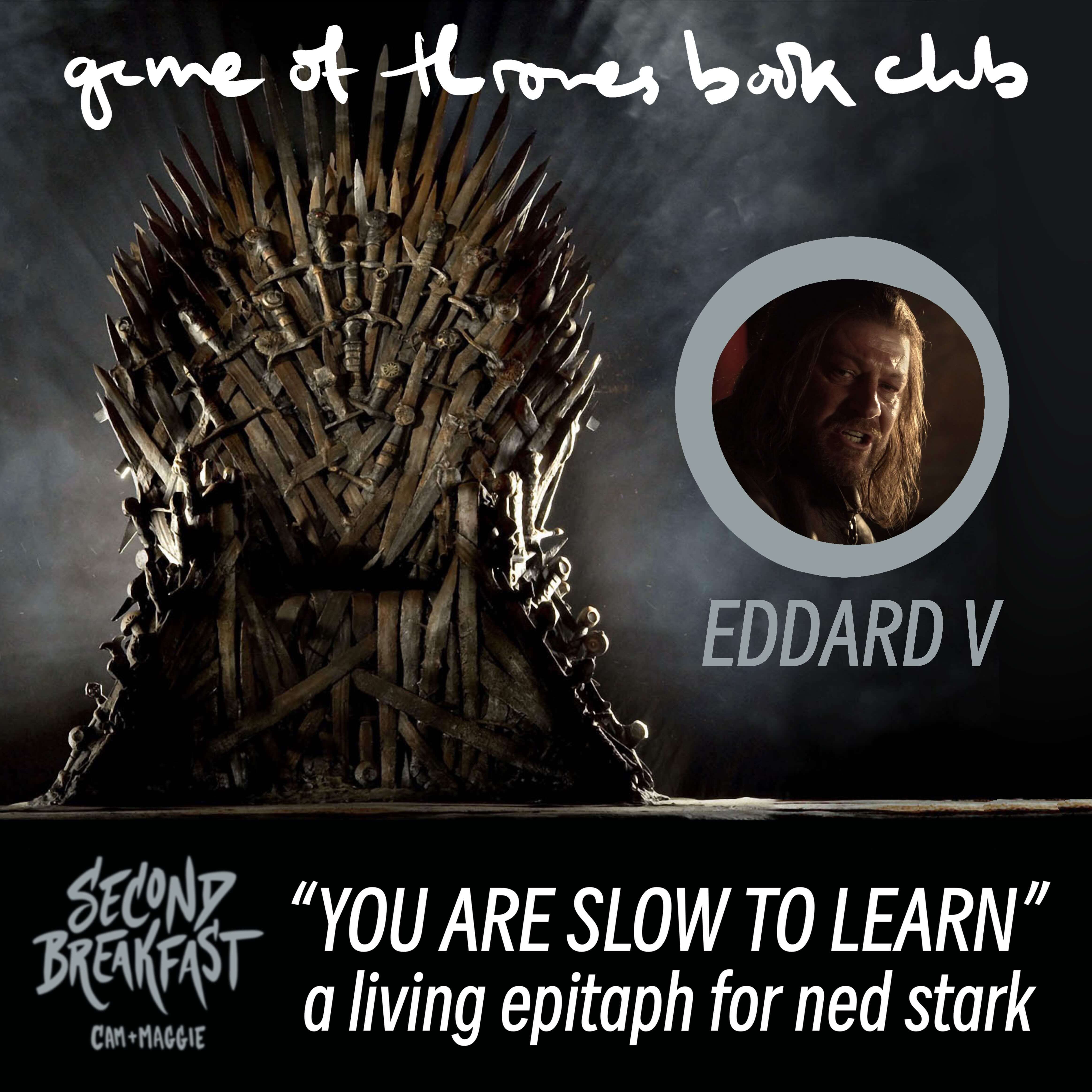 A Game of Thrones, Vol. 26 [Eddard V]