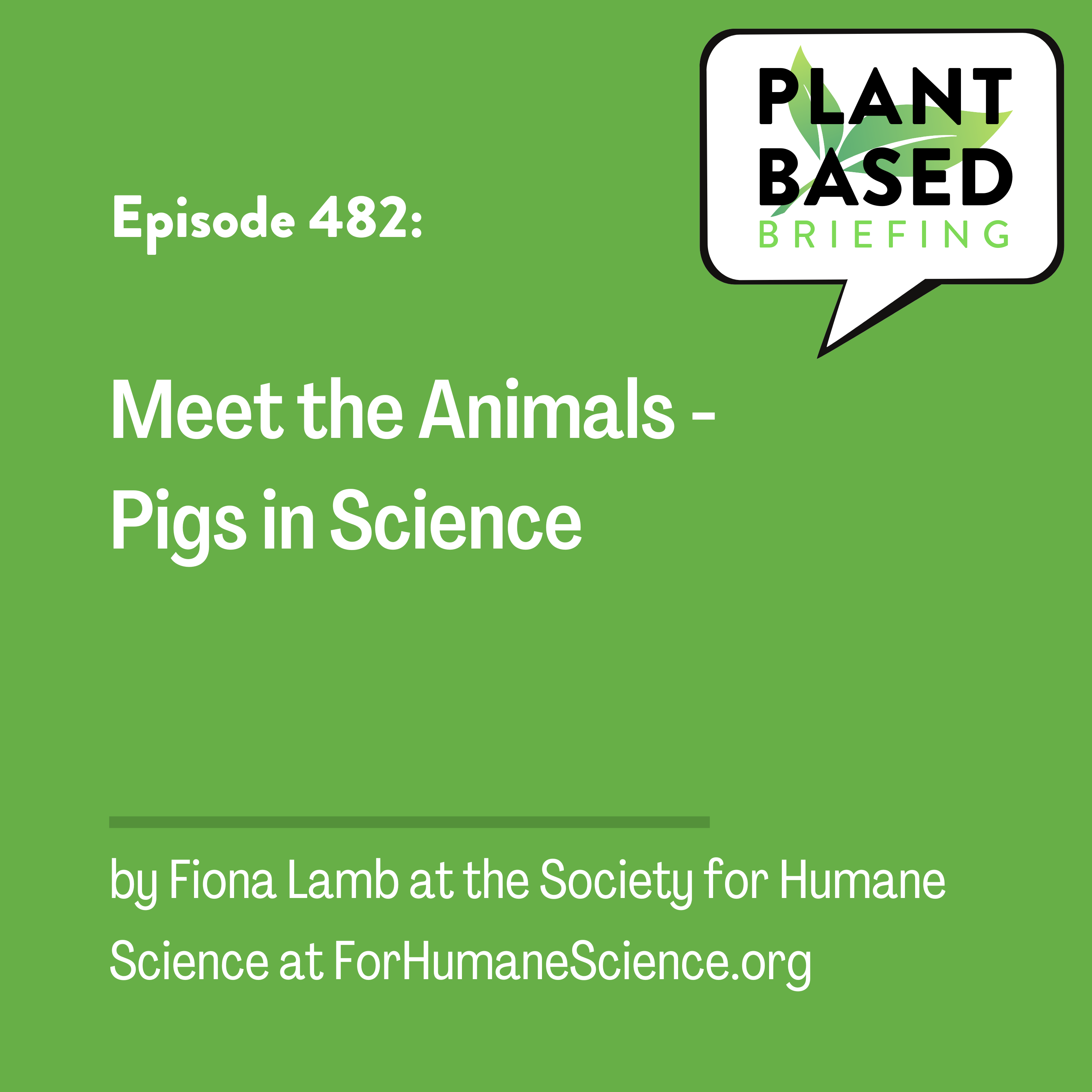 482: Meet the Animals - Pigs in Science. By Fiona Lamb at the Society for Humane Science at ForHumaneScience.org