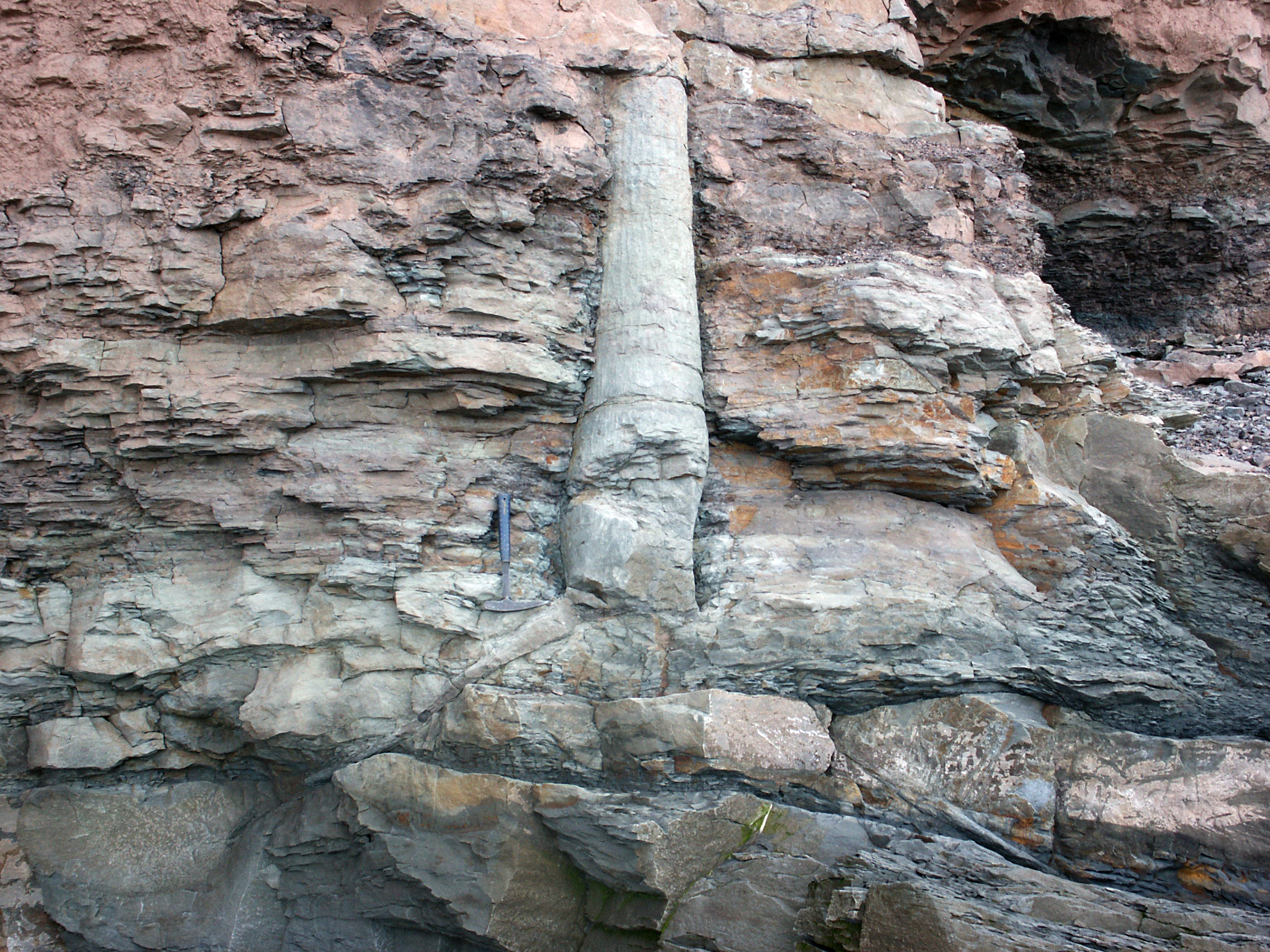 Palaeo After Dark