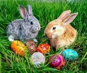 WHY DO BUNNIES LAY EGGS AT EASTER?