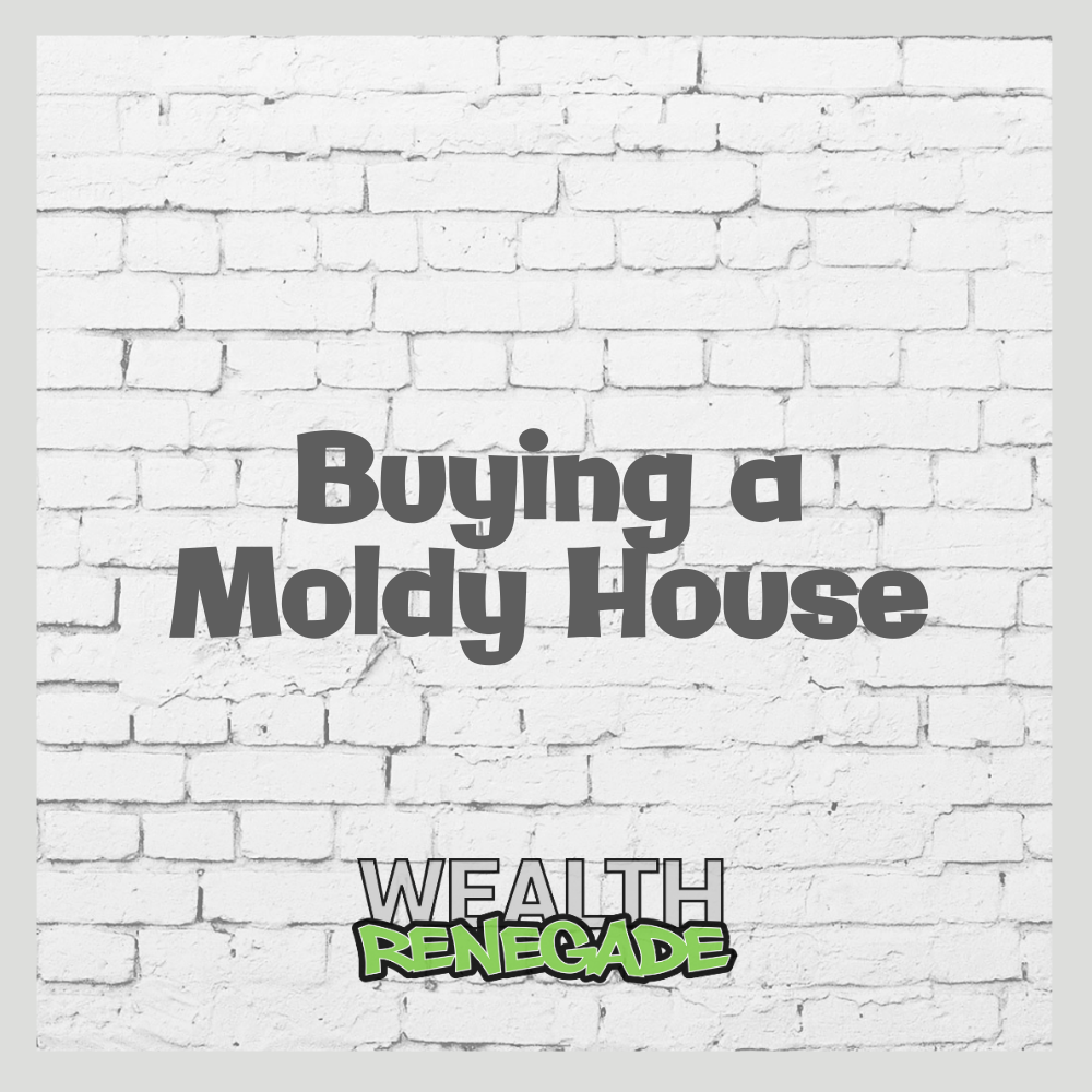 Episode 28 - Buying a Moldy House