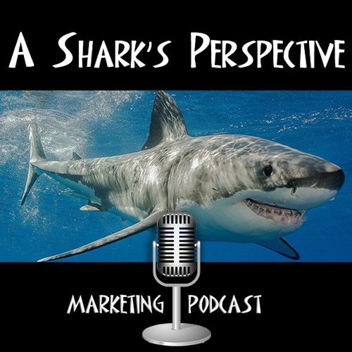 A Shark\'s Perspective