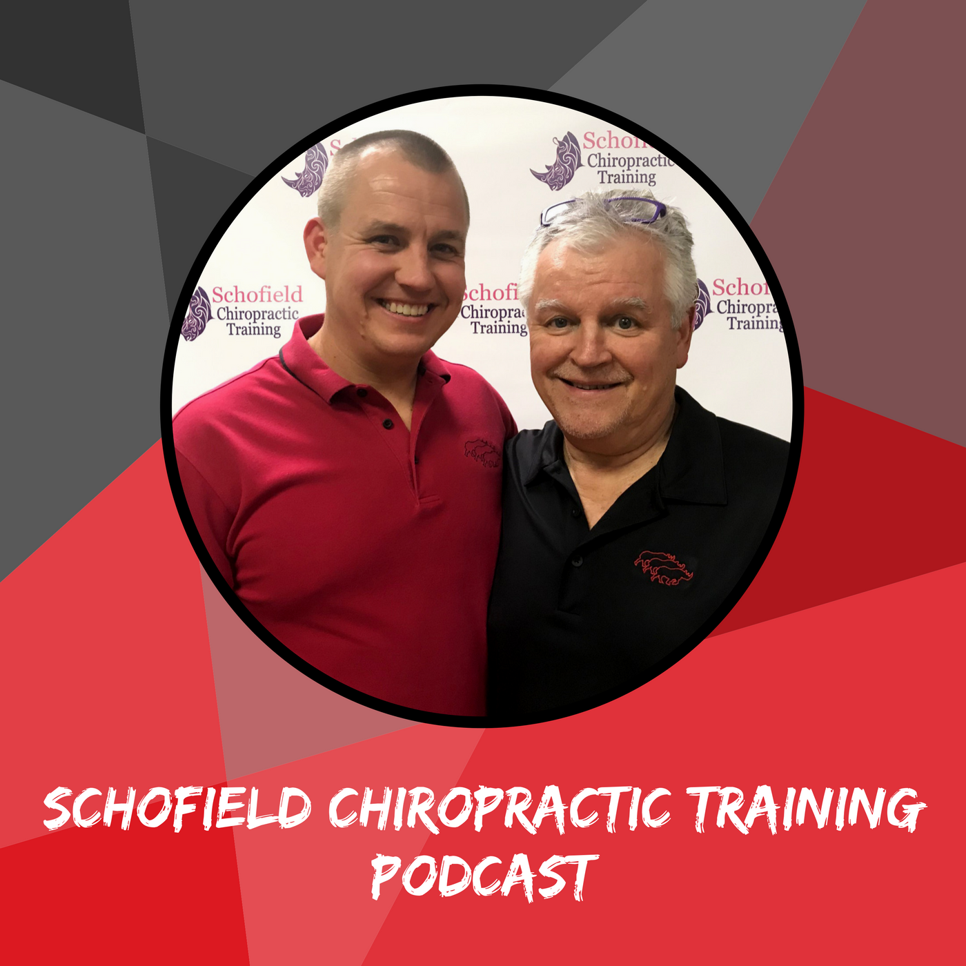 Schofield Chiropractic Training |Burnout