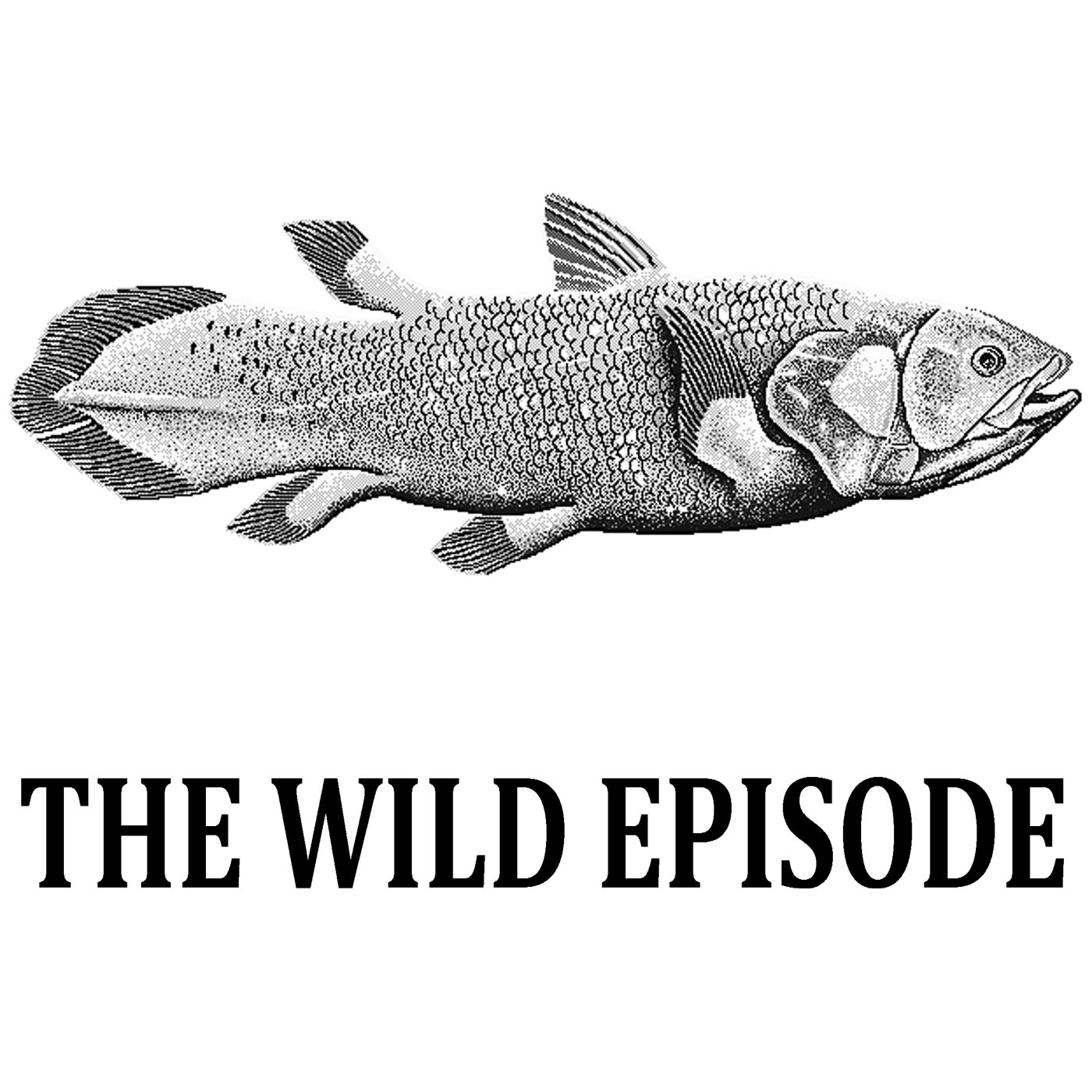 The Wild Episode