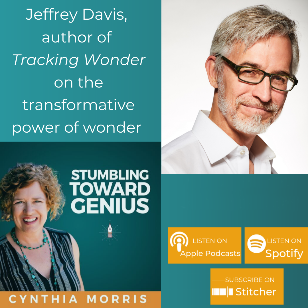 Stumbling Toward Genius