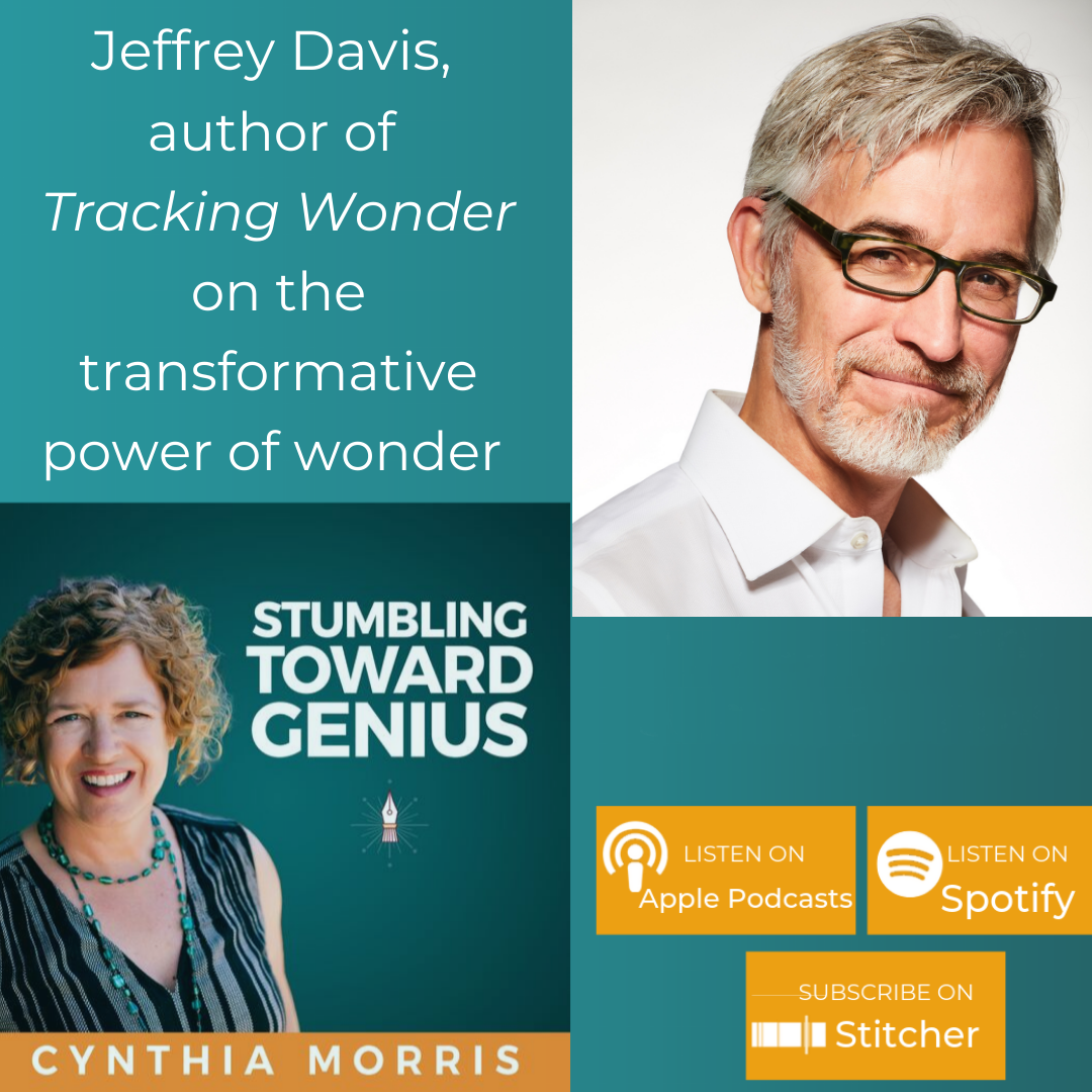 Wonder as a Tool of Resiliency with Jeffrey Davis