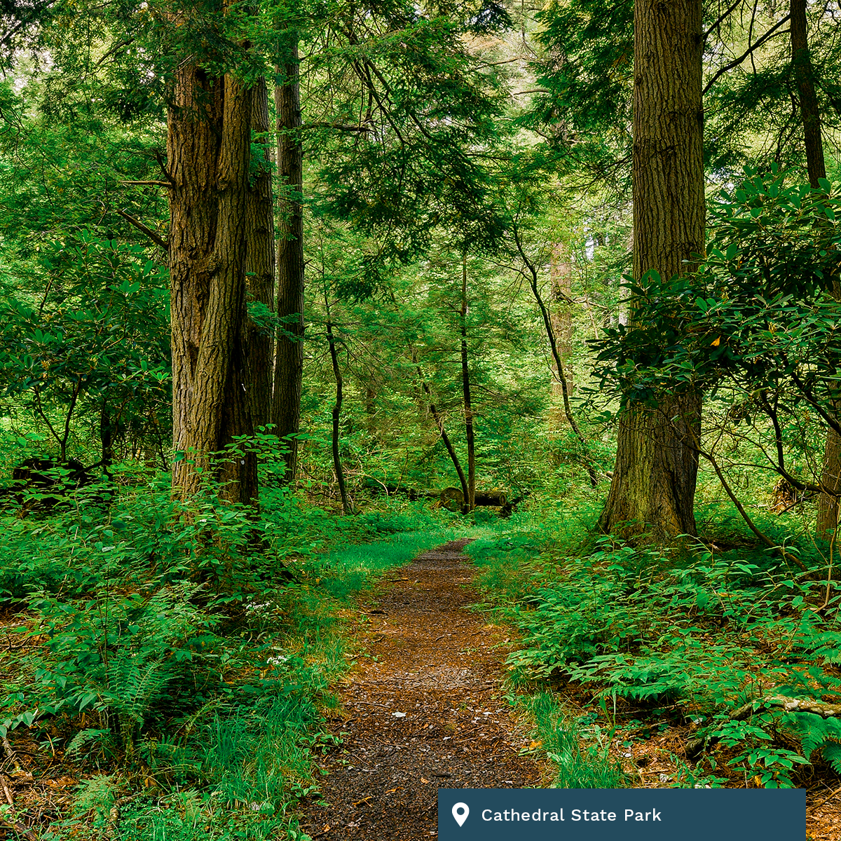 daily304\'s podcast