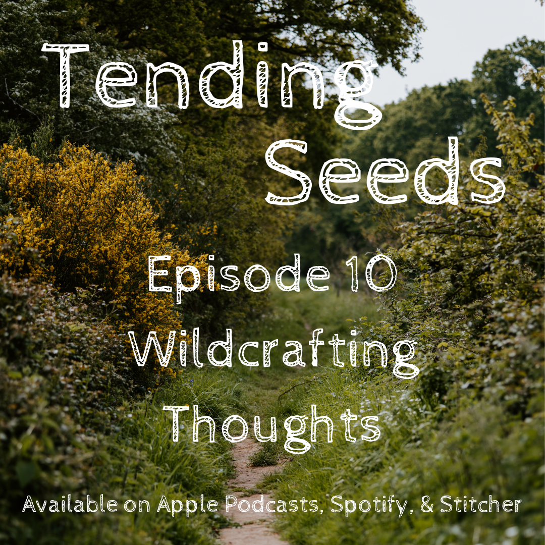 Tending Seeds: Adventures in Gardening, Homesteading, and Herbalism