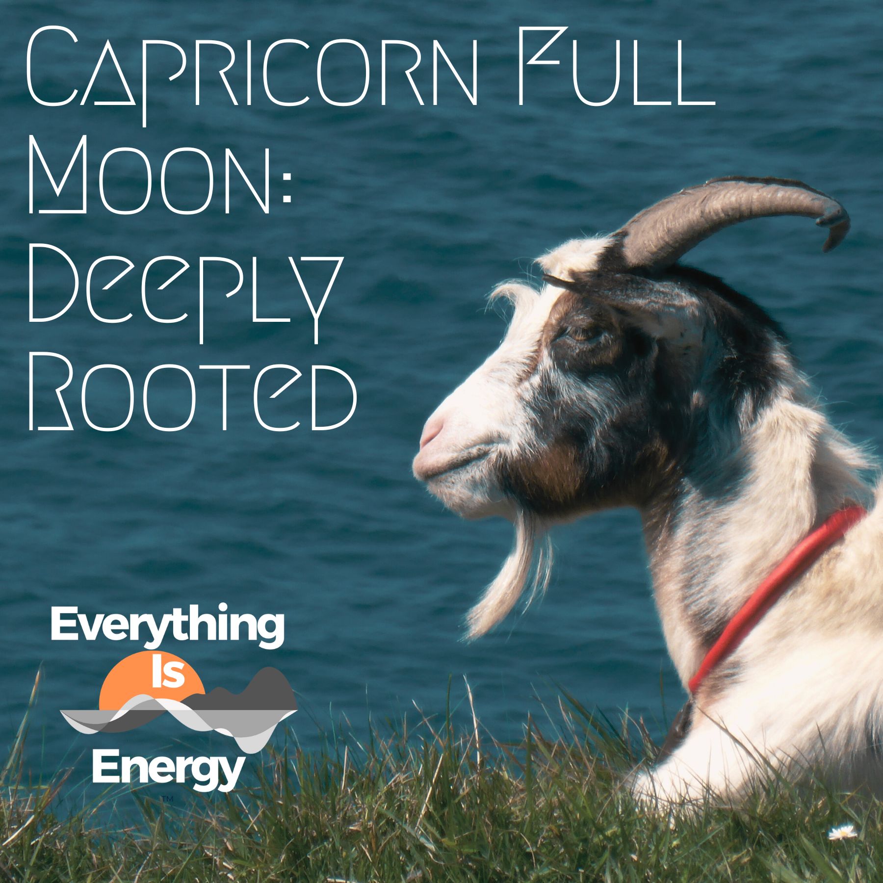 Everything Is Energy