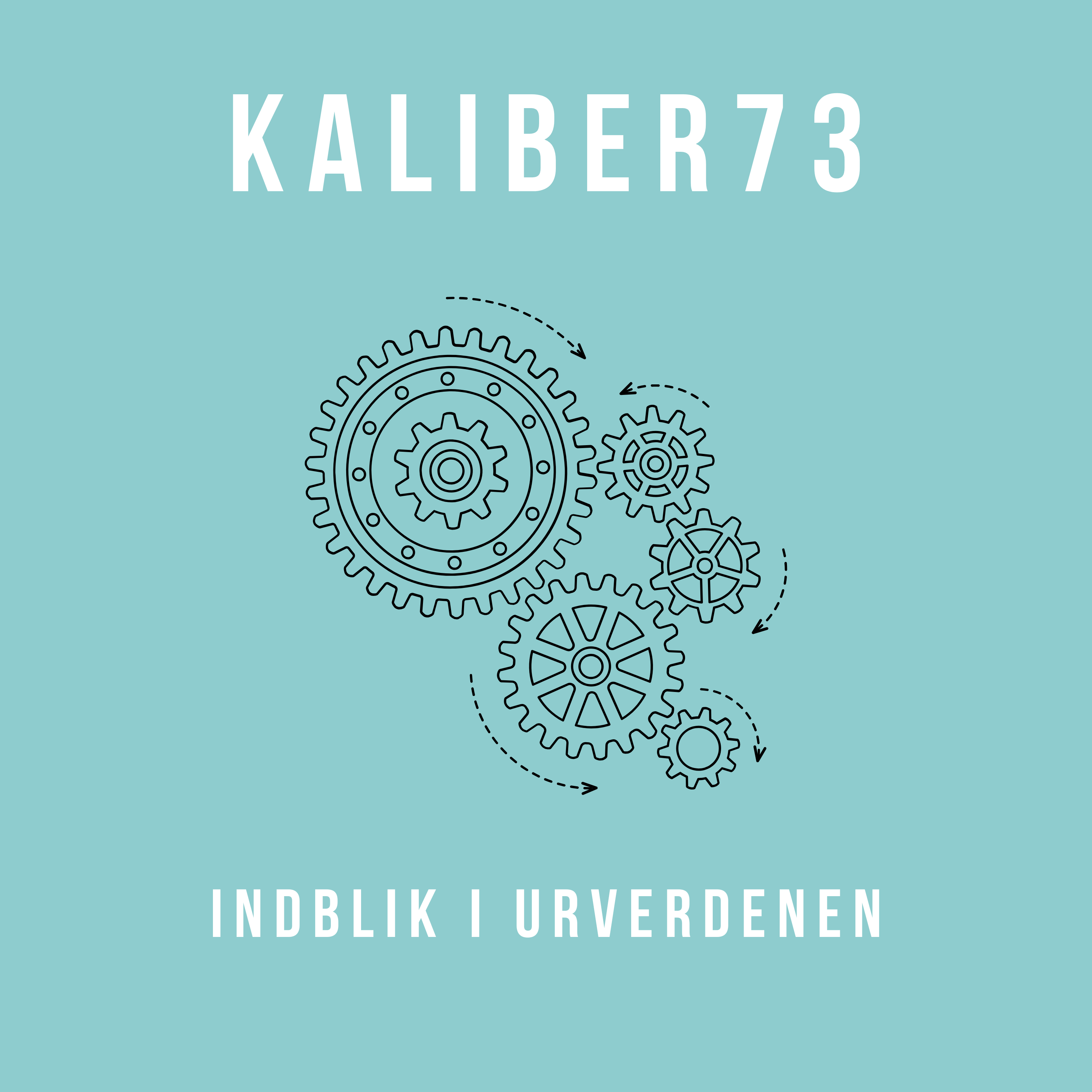 Kaliber73