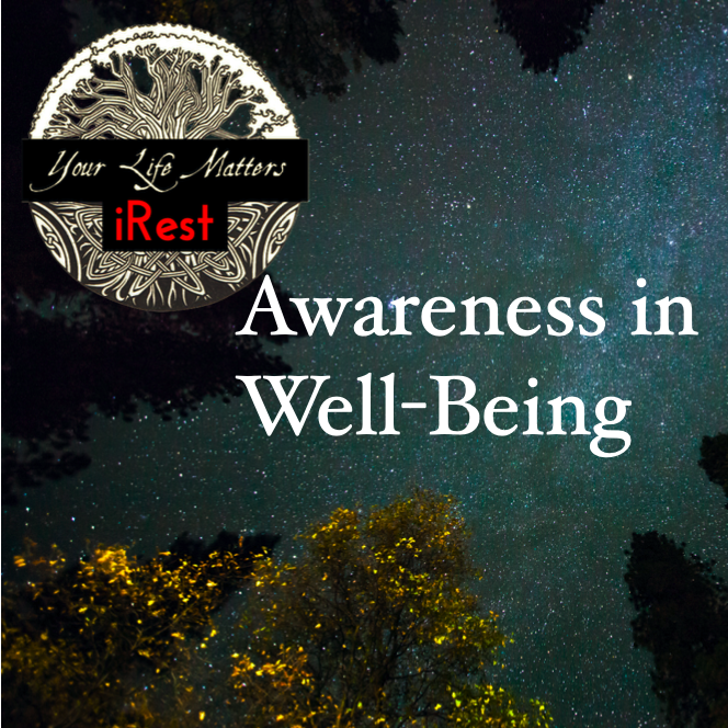 Somatic Resilience