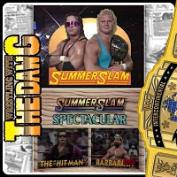 Bret Hart vs. Mr. Perfect - WWF SummerSlam 1991 & Bret Hart vs. Barbarian - WWF SummerSlam Spectacular 1991 (Podcast)