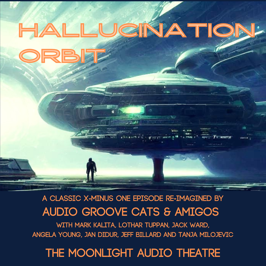 AUDIO GROOVE CATS - Hallucination Orbit