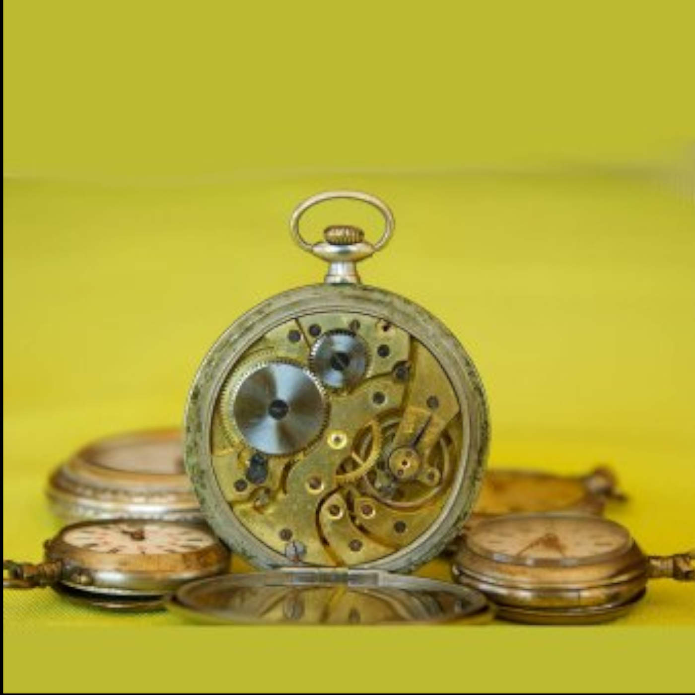 The Not So Blind Watchmaker