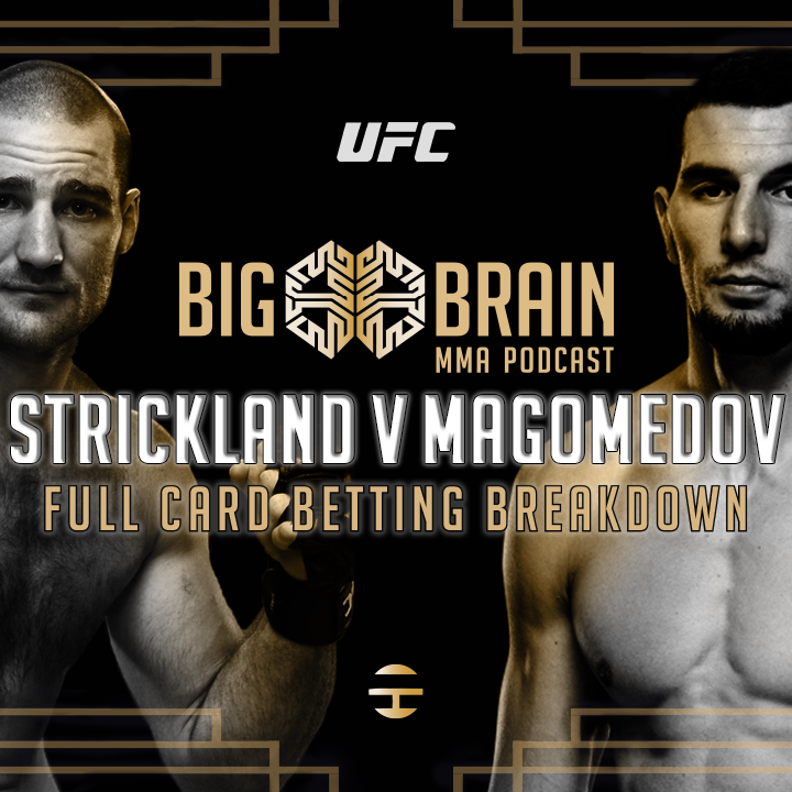 Big Brain MMA Podcast