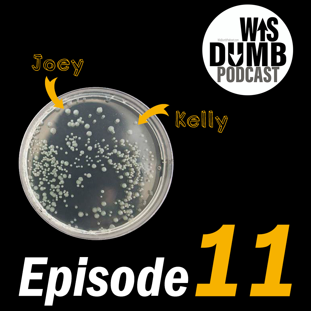 WisDumb Podcast
