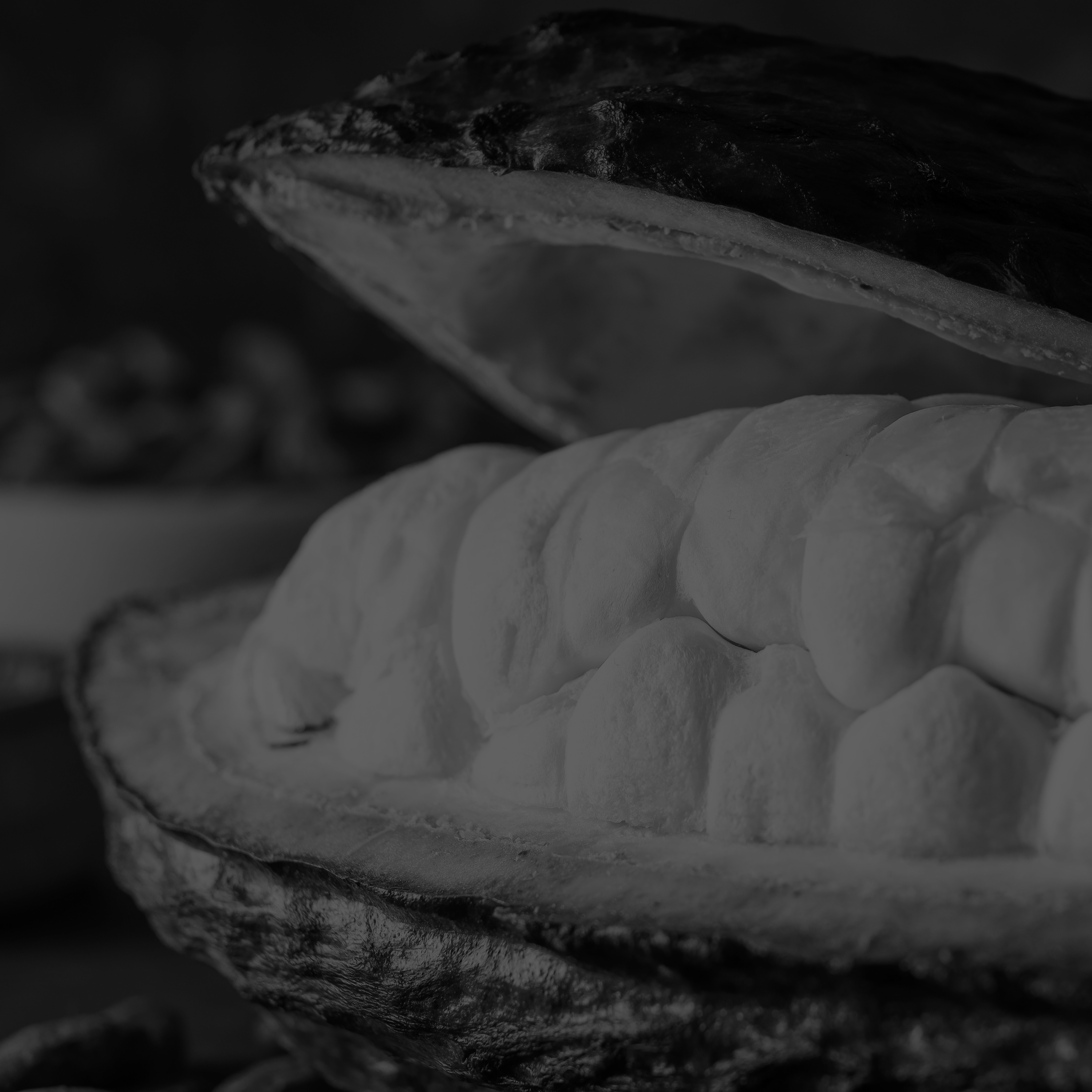 Sleep aid: ISO 2451:2017 – Cocoa Bean Specification and Quality Requirements