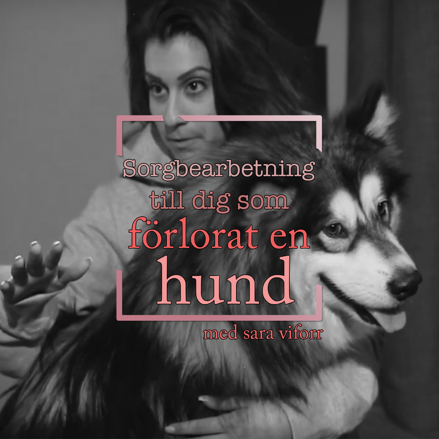 Hundpodden Vår Bästa Vän